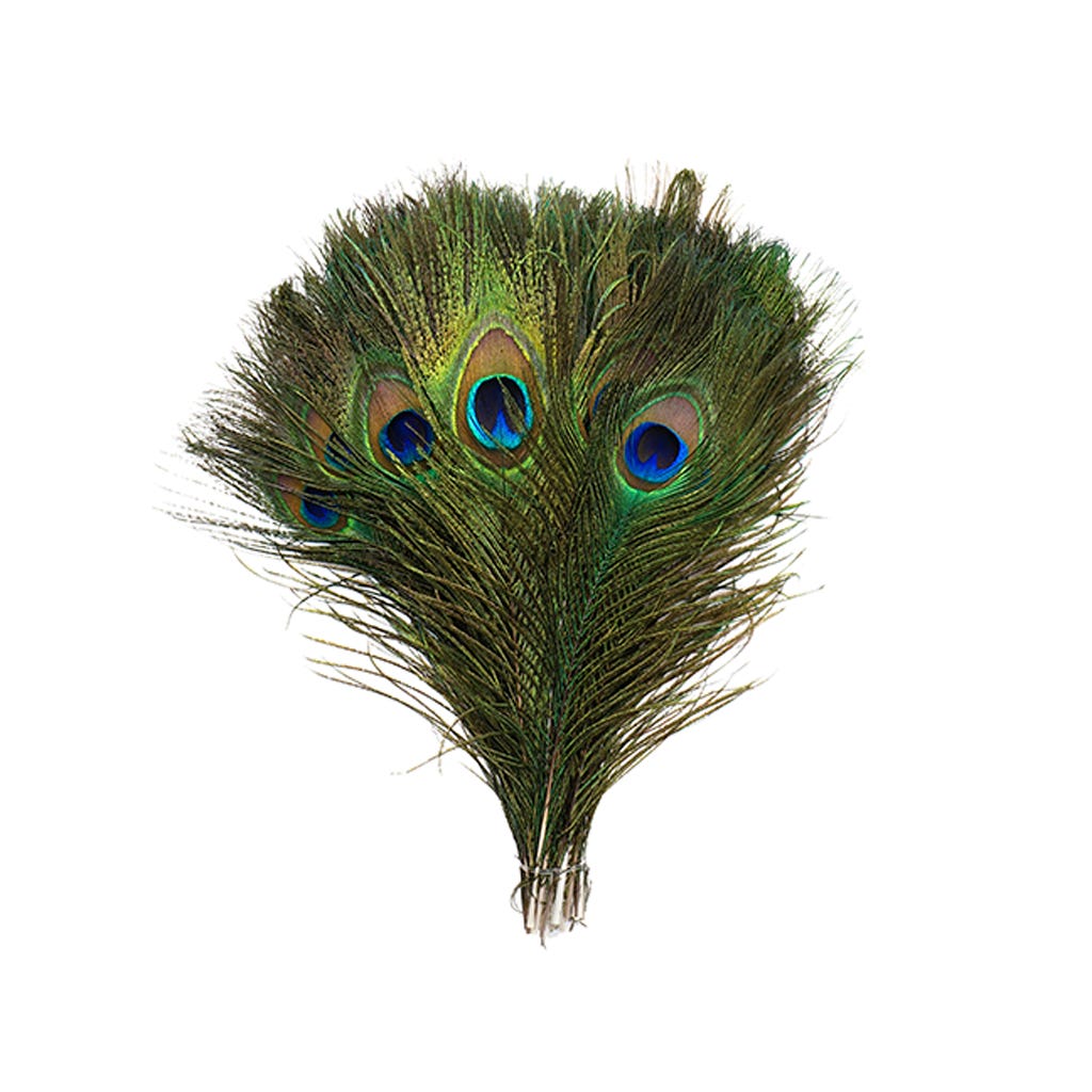 Peacock Small & Large Eyes Cut 8-15 inch --Natural Iridescent