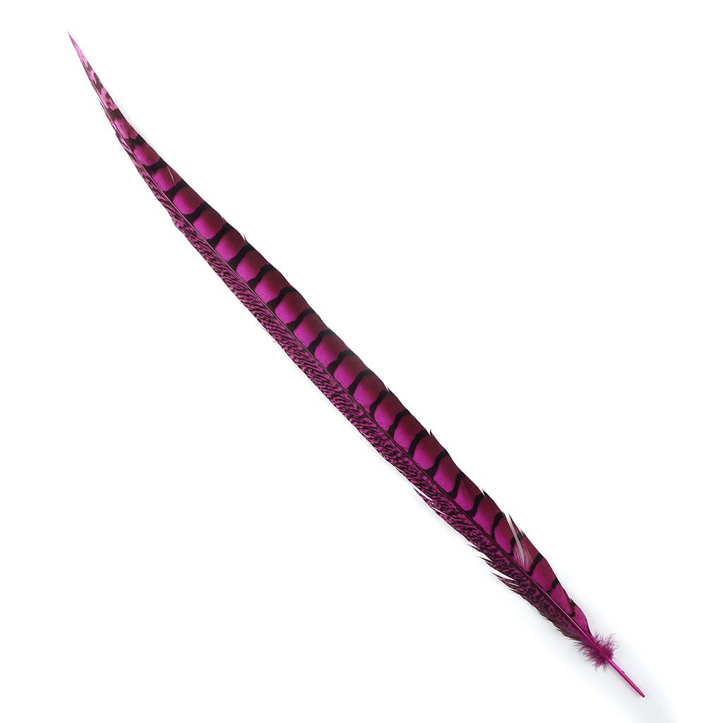 PH TAIL LDY AMH SEL 20-30-inch- FF 1PC
