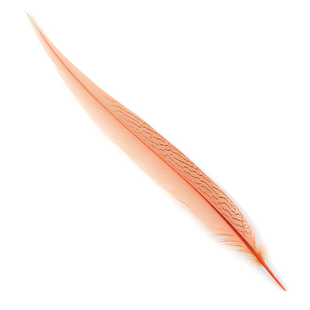 Silver Pheasant Tails Select 20-25 inch   1PC PKG --Apricot Blush