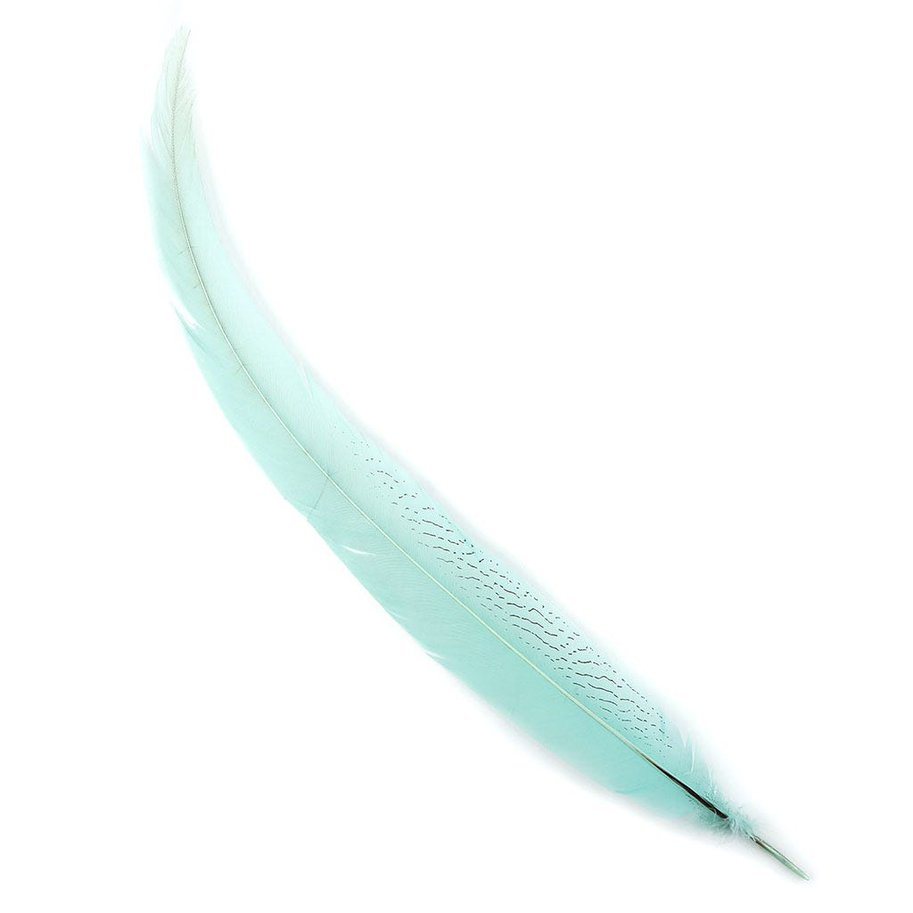 PH TAIL SILVER SEL 20-25-inch- MT 1PC