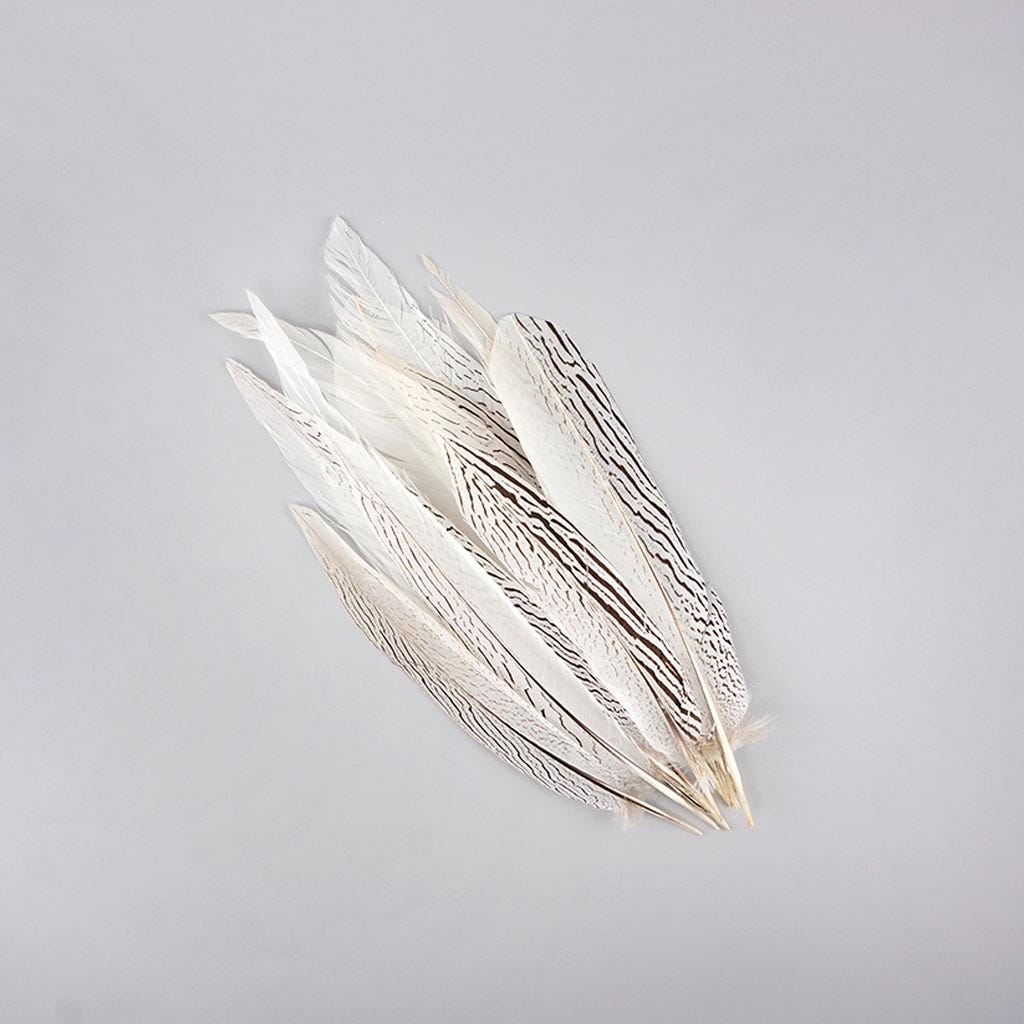 Silver Pheasant Tails Selected 12-16 inch --Natural