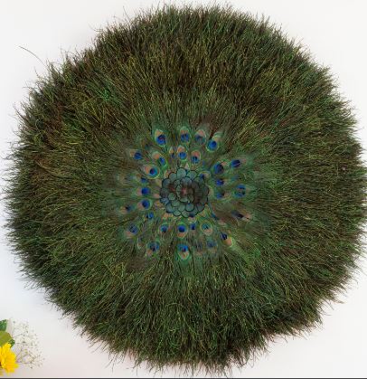 [WHD-JUJUPCF22--N-BRZ] Juju Hat Natural Iridescent Peacock Flue Wall Art on 22 inch Wood Base 31-35 inch DIA --Natural/Bronze