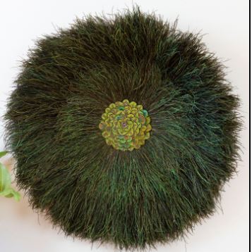 [WHD-JUJUPCF11--N-GO-N] Juju Hat Natural Iridescent Peacock Flue Wall Art on 11 inch Wood Base 20-24 inch DIA --Natural/Gold/Natural