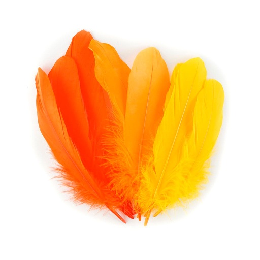 [B204M--SUNRISE] Goose Pallet 6-8 inch   12PC PKG --Orange/Mango/Gold