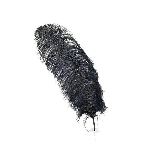 [OP25-25--BL] Ostrich Prime Femina 17-25 inch   25PC PKG --Black