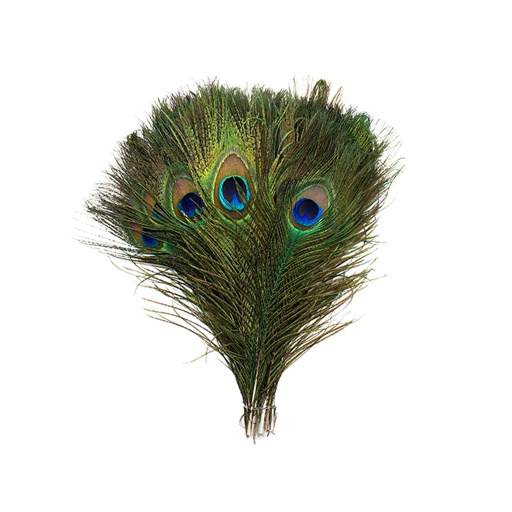[P15N--N] Peacock Small & Large Eyes Cut 8-15 inch --Natural Iridescent