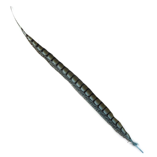 [LP30-1--LT] PH TAIL LDY AMH SEL 20-30-inch- LT 1PC