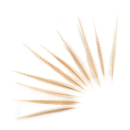 [B572B-10--EG] PH TL BLCH-NAT 14-18-inch- 10PC-PKG EG