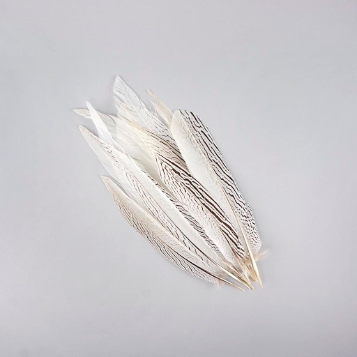 [SP16--N] Silver Pheasant Tails Selected 12-16 inch --Natural