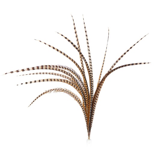 [VP60--N] Venery Pheasant Tails Selected 50-60 inch --Natural