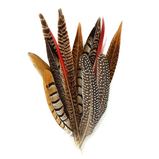 [BPH-FESTIVAL--N] Pheasant/Guinea Festival Mix 6-12 inch   12PC PKG --Natural